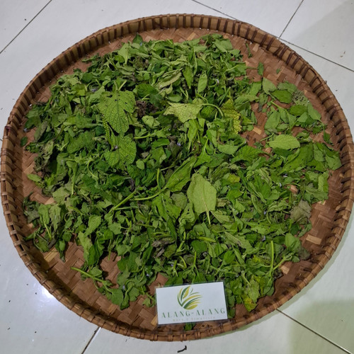 Sangketan (Heliotropium indicum) Indian Turnsole, 780 Gram