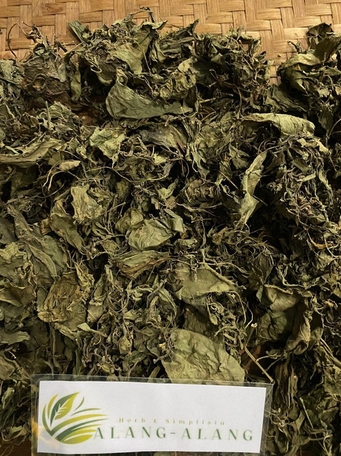 Daun Ciplukan (Physalis angulata) Dried Leaves, 90 Grams