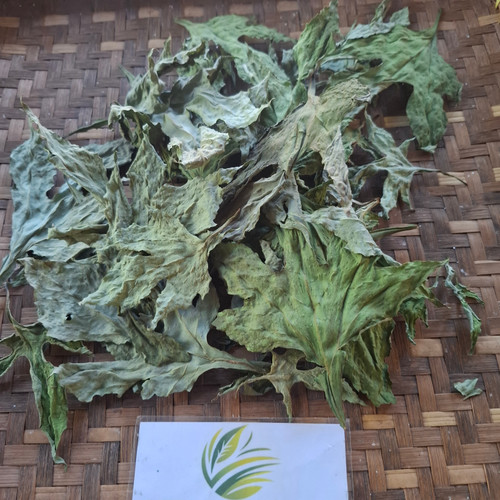 Kipahit (Tithonia diversifolia) Mexican Sunflower, 180 Grams