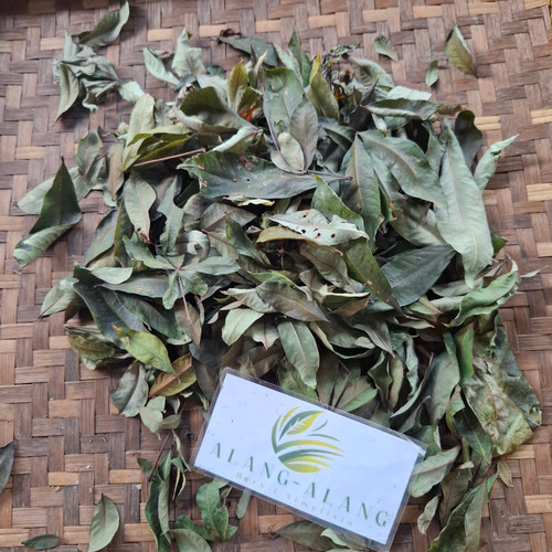 Kapuk Randu ( Ceiba pentandra ) Kapok Tree, 600 Gram