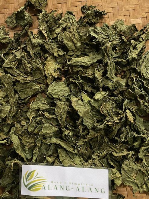 Amaranthus viridis (Bayam hijau), 600 Grams