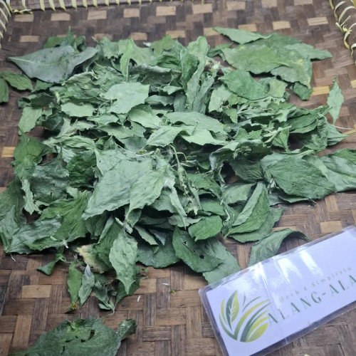 Jotang Kuda ( Synedrella Nodiflora ) Cinderella Weed, 180 Grams