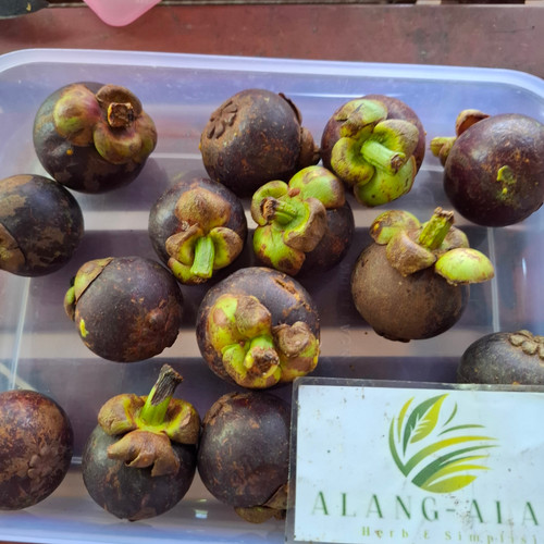 Kulit Manggis (Garcinia mangostana) Mangosteen Peel Dried, 780 Grams
