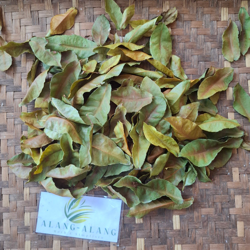 Bird's eye bush (Ochna Serrulata), 180 Grams