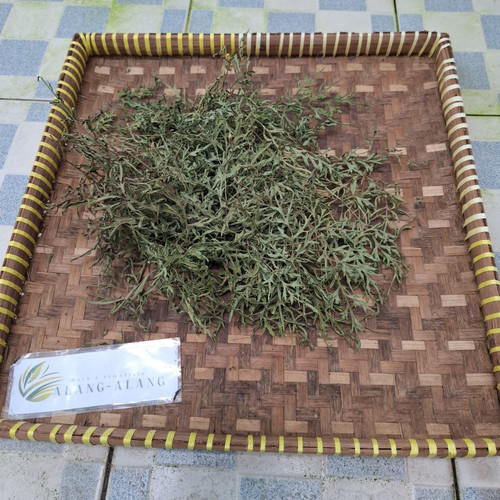 Kenikir (Cosmos caudatus), 180 Grams