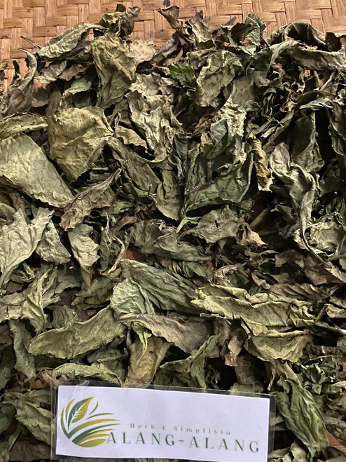 Pletekan (Ruellia tuberosa) Minnieroot, 600 Grams