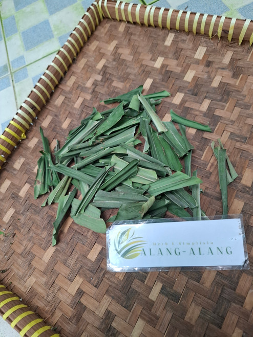 Pandan Wangi (Pandanus amaryllifolius), 780 Grams