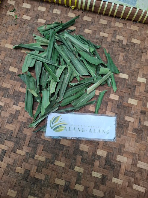Pandan Wangi (Pandanus amaryllifolius), 780 Grams