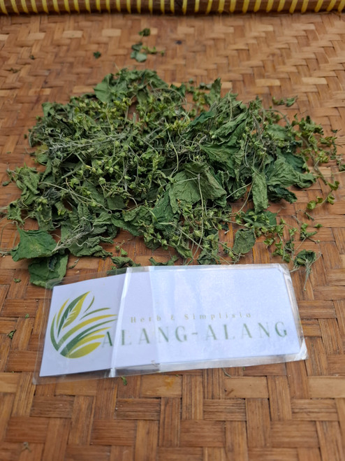 Anting-anting Kering (Acalypha indica), 90 Grams