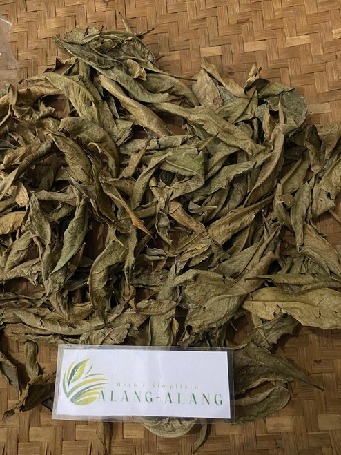 Mahkota Dewa (Phaleria macrocarpa) God's Crown, 180 Grams