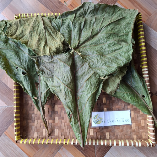 Jati (Tectona Grandis) Teak, 180 Grams