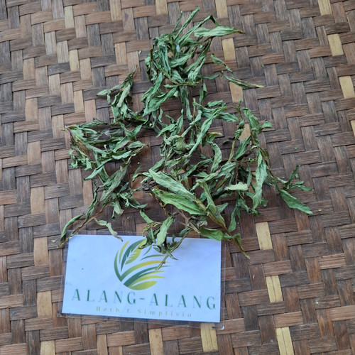 Lakum Air ( Ludwigia Octovalvis ) Mexican primrose-willow, 600 Grams