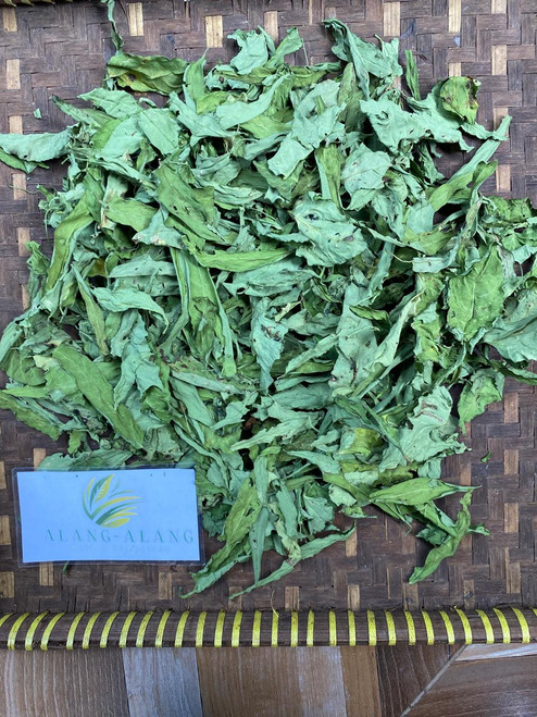 Kangkung (Ipomoea aquatica) Water Spinach, 780 Grams