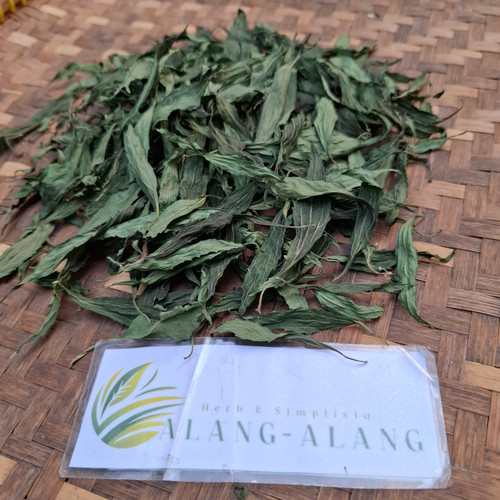 Teklan (Ageratina riparia) Mistflower, 90 Grams