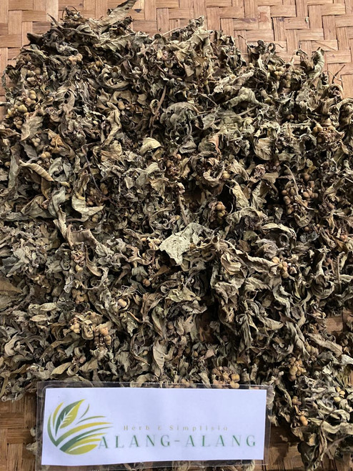 Patikan Mas (Euphorbia heterophylla), 780 Grams