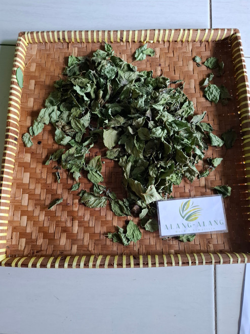 Tembelekan (Lantana Camara) Shrub Verbena, 90 Grams