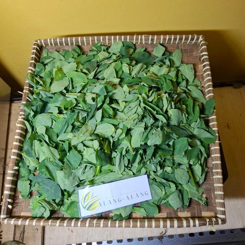 Katuk - Breynia Androgyna, 360 Grams