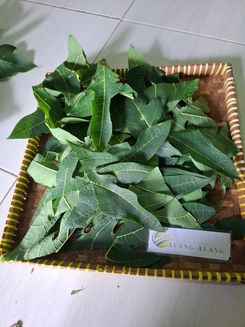 Pepaya (Carica Papaya), 180 Grams