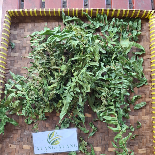 Vegetable fern (Diplazium esculentum), 360 Grams