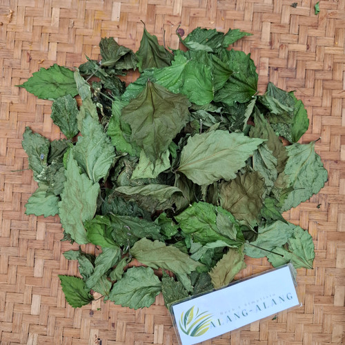 Bunga Sepatu (hibiscus rosa-sinensis), 90 Grams