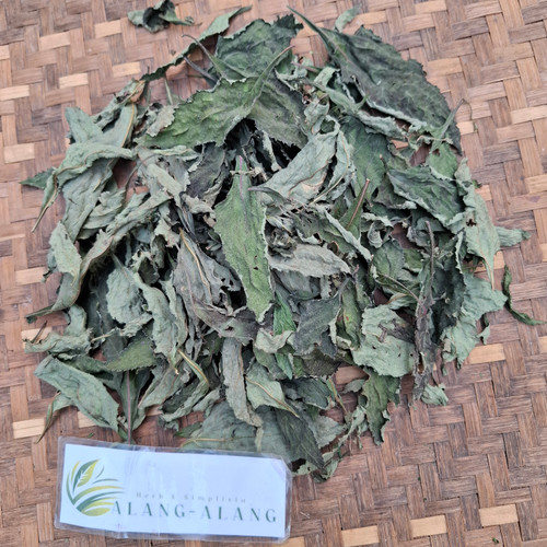 Sawi Tanah (Rorippa indica) Indian Yellow Cress, 180 Grams
