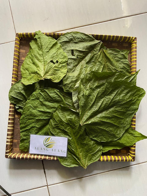 Jati putih (Gmelina arborea) White Teak, 780 Grams
