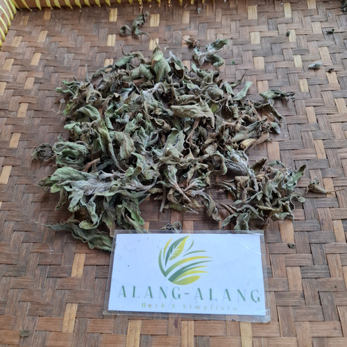 Cacabean (Ludwigia octovalvis) Mexican primrose-willow, 360 Grams