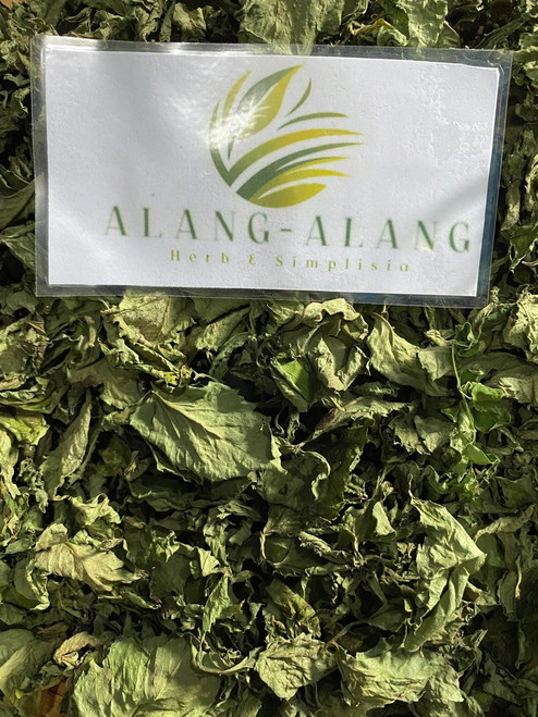 Ajeran (Bidens pilosa), 90 Grams