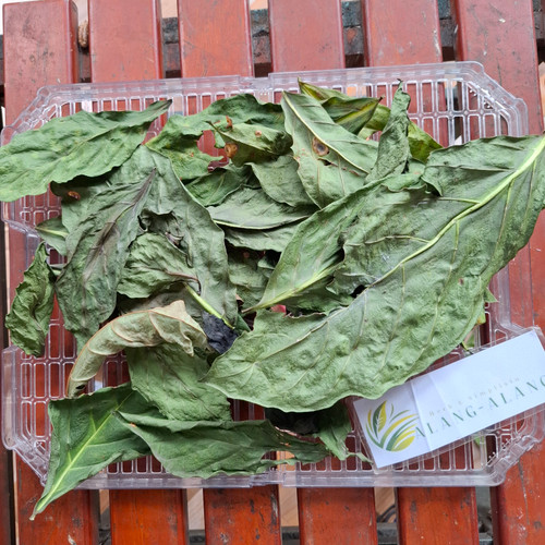 Pace Mengkudu (Morinda citrifolia) Indian Mulberry, 180 Grams