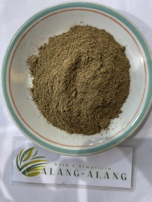 Jati Belanda (Guazuma ulmifolia) West Indian elm, 600 Grams