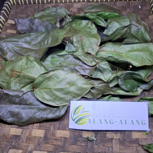 Cincau Perdu (Premna trichistoma) Jukut jelly, 360 Grams