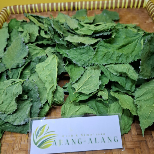 Murbei (Morus) Mulberry, 360 Grams