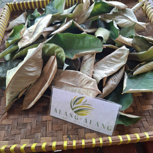 Durian (Durio zibethinus), 360 Grams
