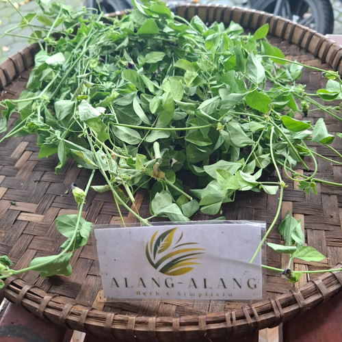 Telang (Clitoria ternatea) Asian Pigeonwings, 600 Grams