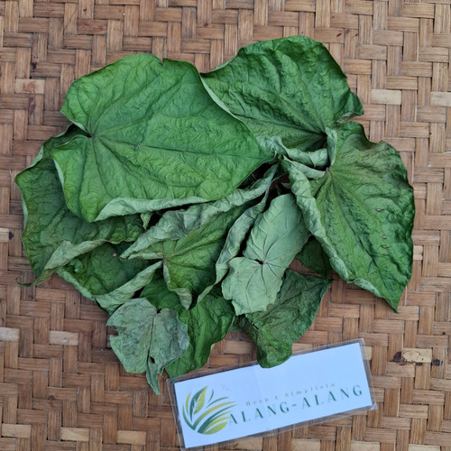 Daun Sirih (Piper Betle) Dried Betel Leaves, 600 Grams