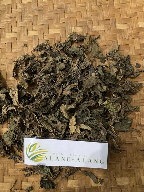 Sambung Nyawa ( Gynura Procumbens ) Longevity Spinach, 360 Grams