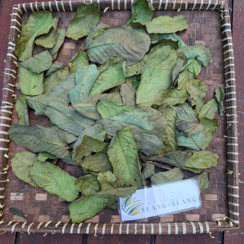 Ketepeng Cina ( Senna Alata ) Candle Bush, 360 Grams
