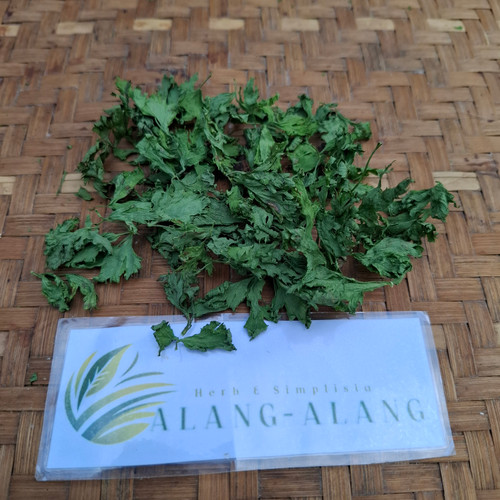 Seledri (Apium graveolens ) Celery, 90 Grams