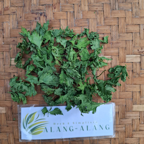 Seledri (Apium graveolens ) Celery, 360 Grams