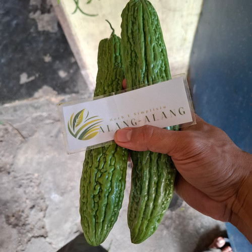 Buah Pare (Momordica charantia) Bitter melon Dried Fruit, 85 Grams