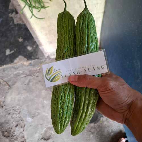 Buah Pare (Momordica charantia) Bitter melon Dried Fruit, 450 Grams
