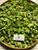 Apu Apu (Pistia Stratiotes) Water lettuce, 180 Grams