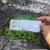 Rumput Mutiara (Oldenlandia corymbosa) Diamond Flower Dried Leaves, 30 Grams