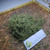 Katumpangan (Pilea microphylla) Artillery Plant Dried, 90 Grams