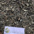 Sambiloto (Andrographis Paniculata) Green Chiretta, 600 Grams