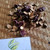 Mahkota Dewa (Phaleria macrocarpa) God's Crown Dried, 360 Grams