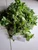 Bayam Duri (Amaranthus spinosus), 90 Grams