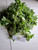 Bayam Duri (Amaranthus spinosus), 360 Grams