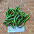 Cabai Kering (Capsicum) Chili Peppers Dried, 450 Grams
