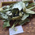 Langsep (lansium parasiticum) Yellow mahogany, 780 Grams